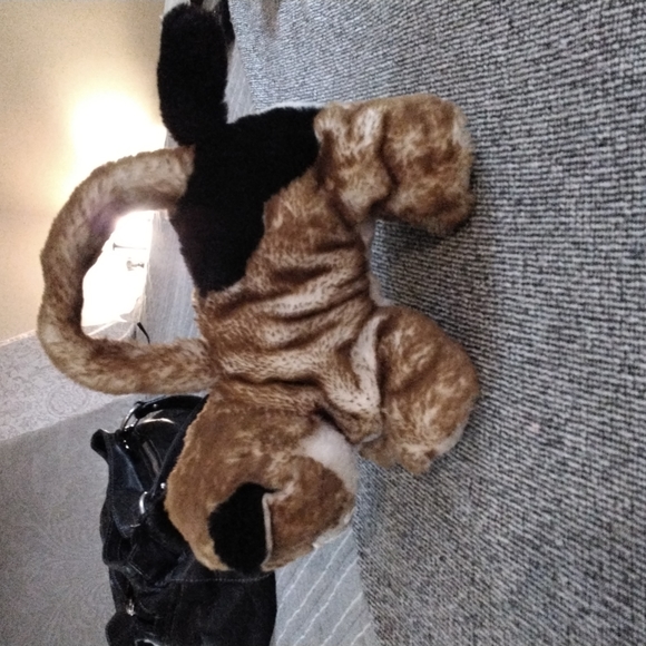 Calico kitten purse - Picture 7 of 7